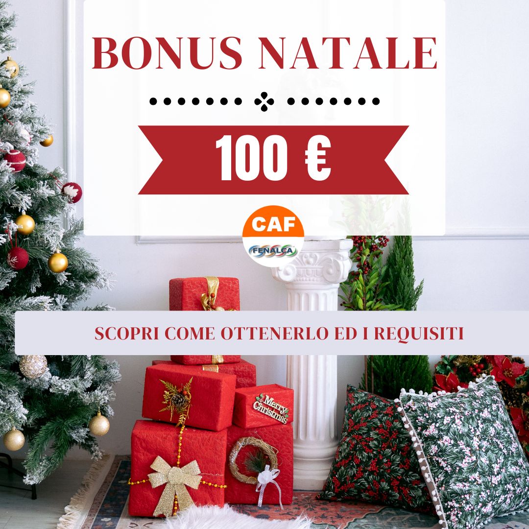 Bonus natale 2024, scopri i requisiti